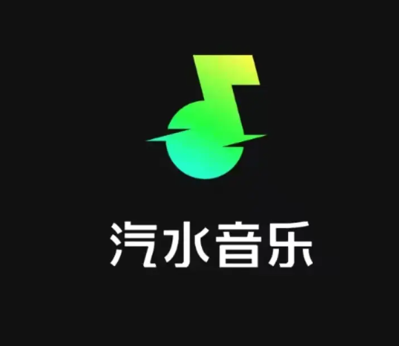【自动充值】汽水音乐SVIP会员12个月